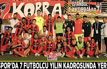 Vanspor'da 7 futbolcu yılın kadrosunda yer aldı