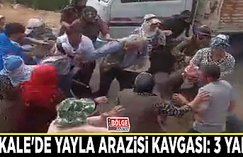 Başkale'de yayla arazisi kavgası: 3 yaralı