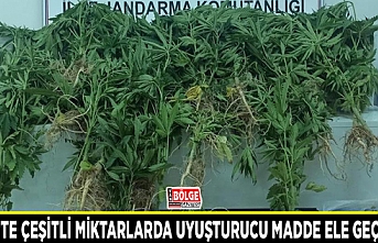 Erciş’te çeşitli miktarlarda uyuşturucu madde ele geçirildi