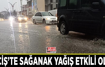 Erciş’te sağanak yağış etkili oldu