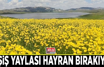 Keşiş Gölü, çevresiyle hayran bırakıyor