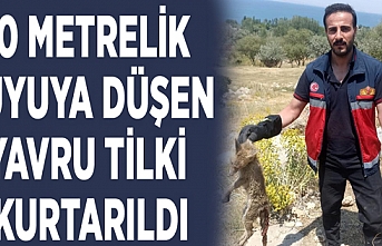 Kuyuya düşen yavru tilki kurtarıldı