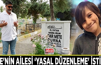 Mete'nin ailesi ‘yasal düzenleme' istiyor