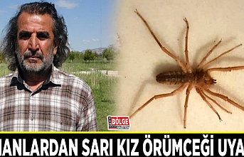 Sarı kız örümceği uyarısı