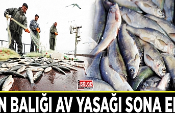 Van Balığı av yasağı sona erdi