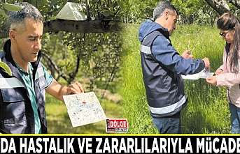 Van'da hastalık ve zararlılarıyla mücadele…