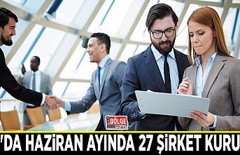 Van'da Haziran ayında 27 şirket kuruldu