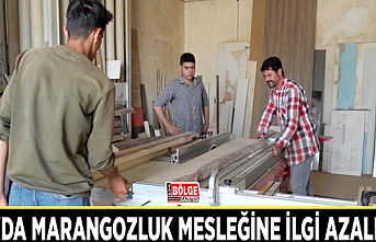 Van'da marangozluk mesleğine ilgi azalıyor