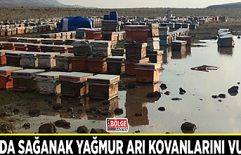 Van'da sağanak yağmur arı kovanlarını vurdu