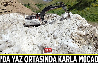 Van'da yaz ortasında karla mücadele