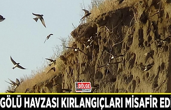 Van Gölü havzası kırlangıçları misafir ediyor