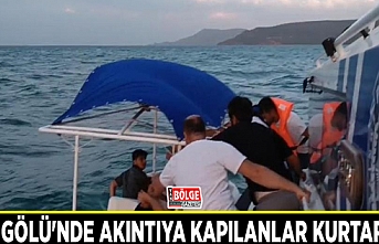 Van Gölü'nde akıntıya kapılanlar kurtarıldı