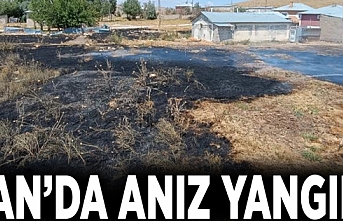 Van’da anız yangını