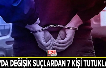 Van’da değişik suçlardan 7 kişi tutuklandı