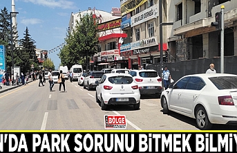 Van’da gelişigüzel araç parkı bıktırdı