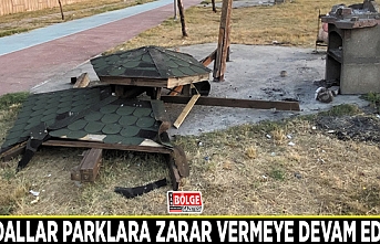 Vandallar parklara zarar vermeye devam ediyor