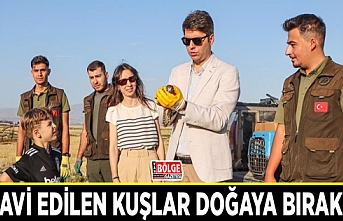 Tedavi edilen kuşlar doğaya bırakıldı