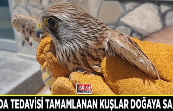 Tedavisi tamamlanan kuşlar doğaya salındı