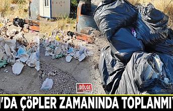 Van'da çöpler zamanında toplanmıyor