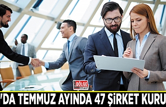 Van'da Temmuz ayında 47 şirket kuruldu