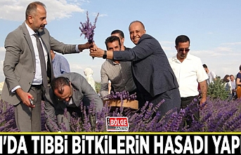 Van'da tıbbi bitkilerin hasadı yapıldı