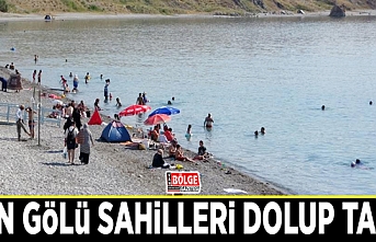 Van Gölü sahilleri dolup taştı