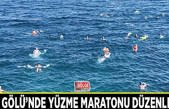 Van Gölü’nde yüzme maratonu düzenlendi