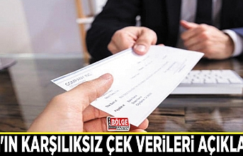 Van'ın karşılıksız çek verileri açıklandı