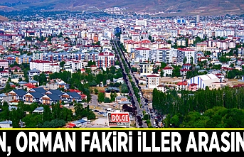 Van, orman fakiri iller arasında