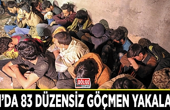 Van’da 83 düzensiz göçmen yakalandı