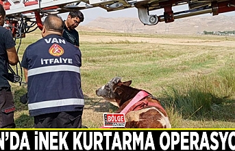 Van’da inek kurtarma operasyonu