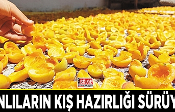 Vanlıların kış hazırlığı sürüyor