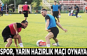 Vanspor, yarın hazırlık maçı oynayacak