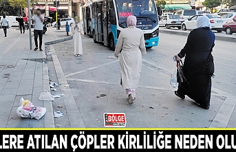 Yerlere atılan çöpler kirliliğe neden oluyor