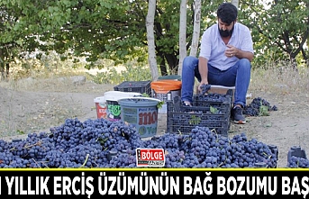 3 bin yıllık Erciş üzümünün bağ bozumu başladı