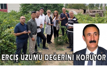 Erciş Üzümü değerini koruyor