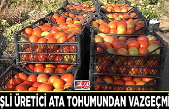 Ercişli üretici ata tohumundan vazgeçmiyor