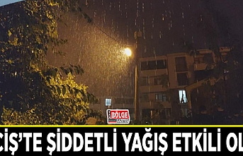 Erciş’te şiddetli yağış etkili oldu