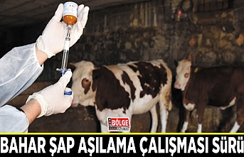 Sonbahar şap aşılama çalışması sürüyor