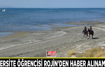 Üniversite öğrencisi Rojin'den haber alınamıyor