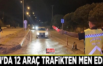 Van'da 12 araç trafikten men edildi