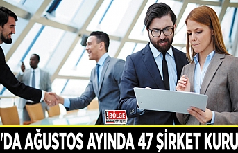 Van'da Ağustos ayında 47 şirket kuruldu