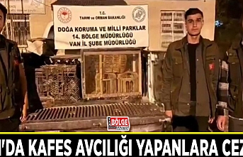 Van'da kafes avcılığı yapanlara ceza...