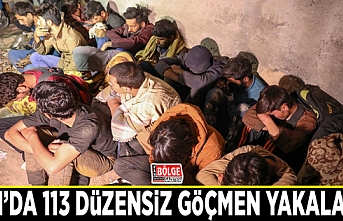 Van’da 113 düzensiz göçmen yakalandı