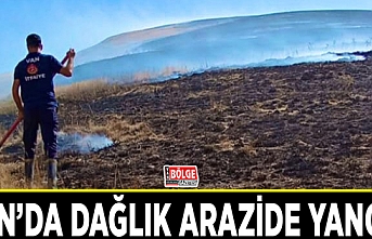 Van’da dağlık arazide yangın