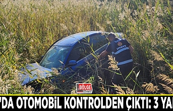 Van’da otomobil kontrolden çıktı: 3 yaralı