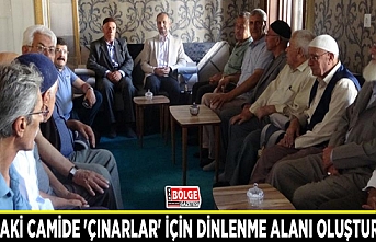 Van’daki camide 'çınarlar' için dinlenme alanı oluşturuldu