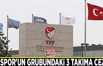 Vanspor'un grubundaki 3 takıma ceza…