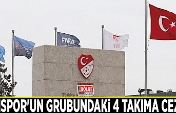 Vanspor'un grubundaki 4 takıma ceza…