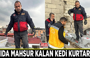 Çatıda mahsur kalan kedi kurtarıldı